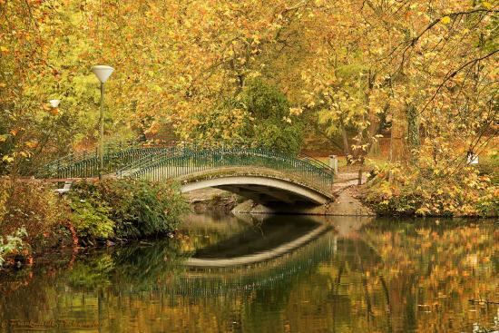 Jardín Botánico Rombergpark