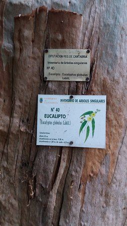 Palacio Barreda Peredo