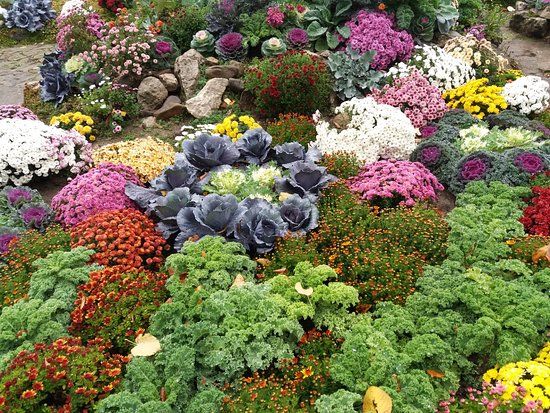 Iasi Botanical Garden