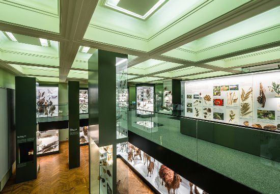 Natuurhistorisch museum van Tartu