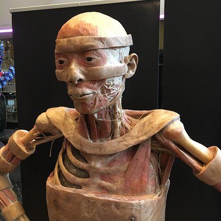 Culinair Museum Marienhof