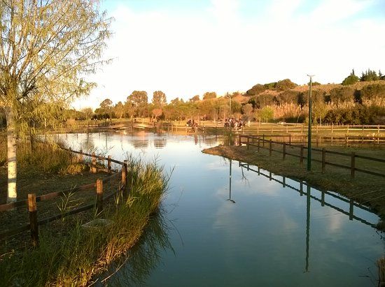 Parco Urbano del Cillarese