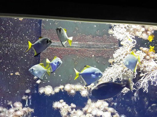 Institut für Meereskunde