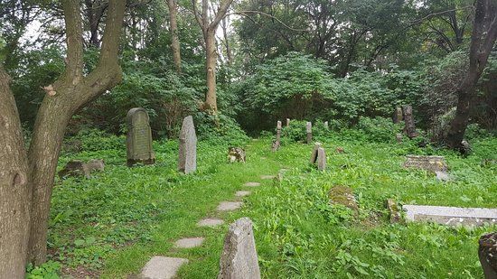 Stary Cmentarz Lublin