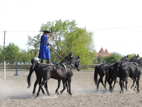 Hortobagy National Park