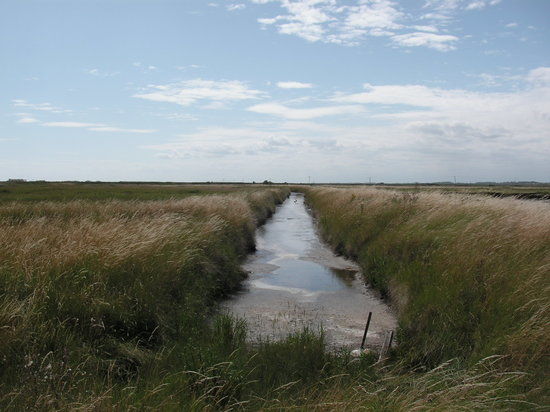 Reserva Natural Nacional de Orford Ness
