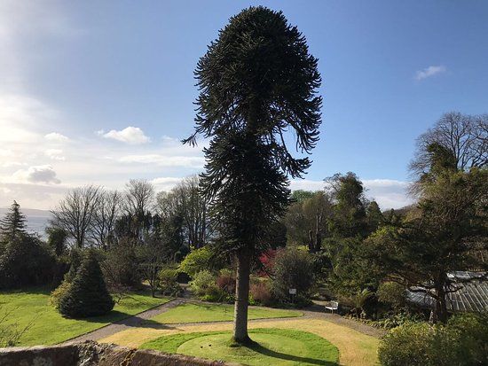 Ascog Hall Fernery and Garden