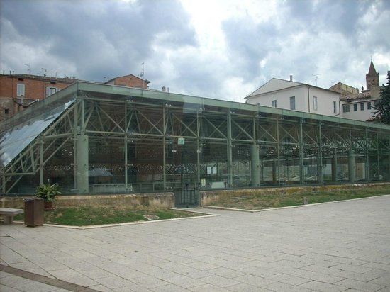 Museo Archeologico Francesco Savini