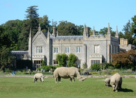 Cotswold Wildlife Park and Gardens