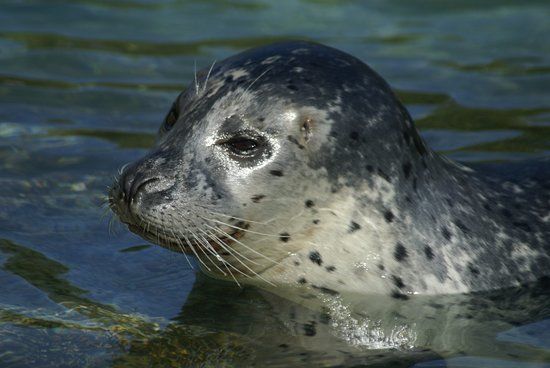 Zoo van Fort-Mardijk