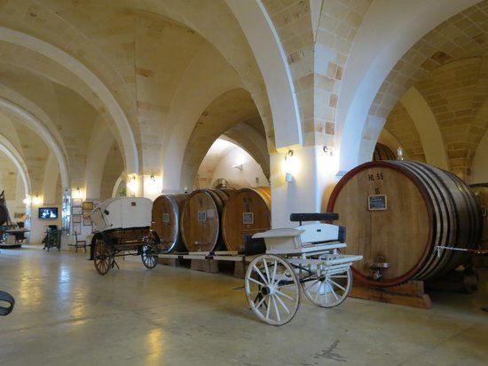 Museo della Civilta del Vino Primitivo