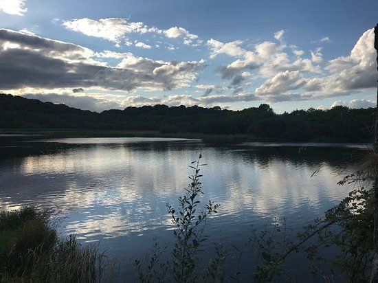 Quoile Pondage Nature Reserve