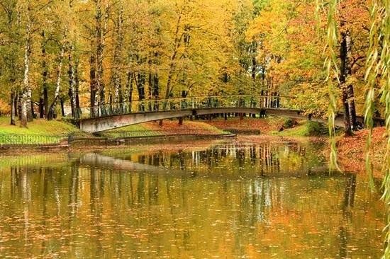 Shevchenko City Park