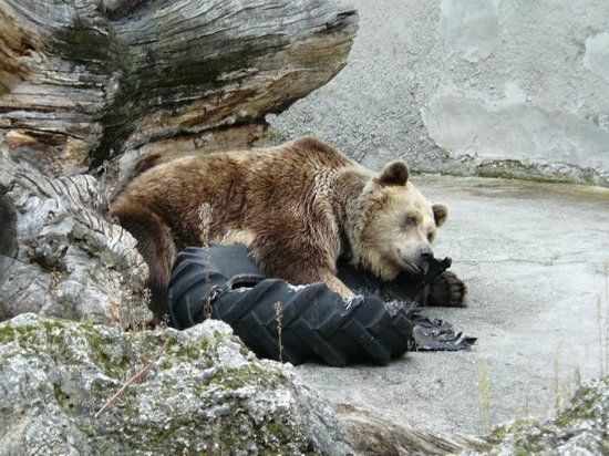 Ogród zoologiczny w Bojnicach