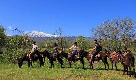 Etna Donkey Trekking