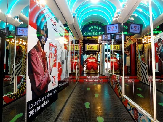 Museum of Curiosities