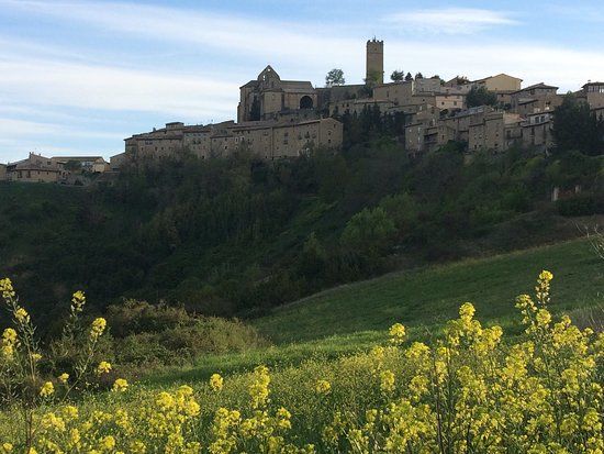 Visita turística de Sos del Rey Católico