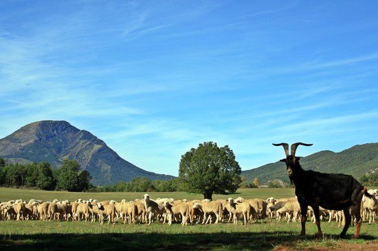 La Borda de Pastores