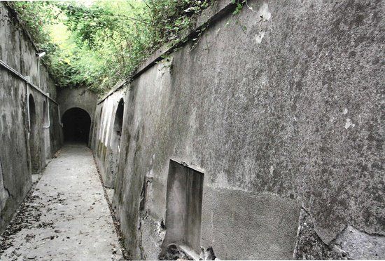 Museo del Dinamitificio Nobel