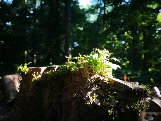 Amersham Field Centre