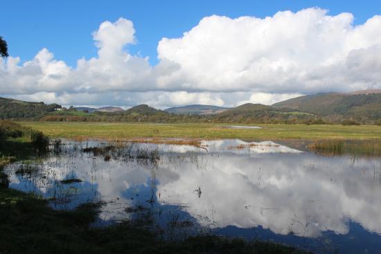 Mersehead Nature Reserve