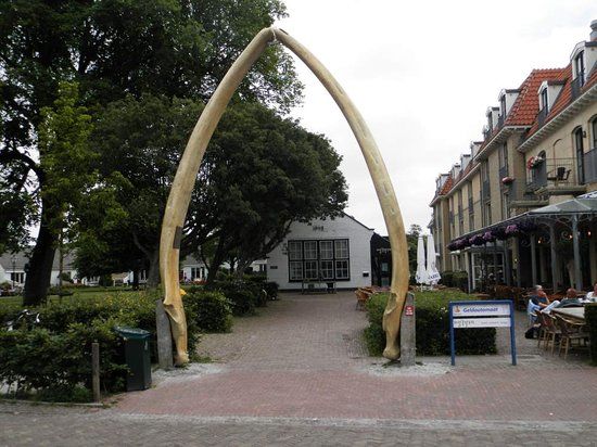 Whale Jaws