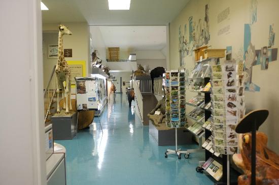 Musée d'Histoire Naturelle