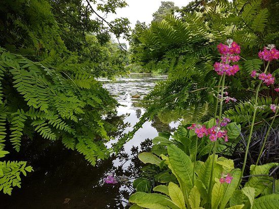 Longstock Water Gardens