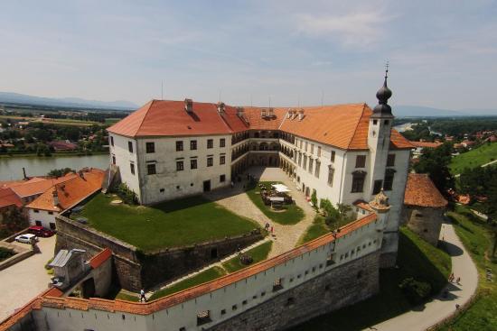 Ptuj Castle