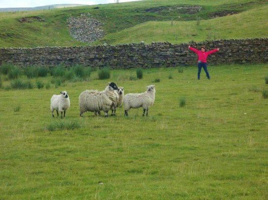 Cobble Hey Farm and Gardens