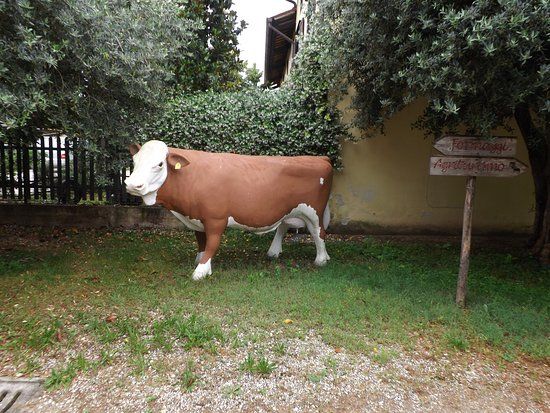 Azienda Agricola Zoff