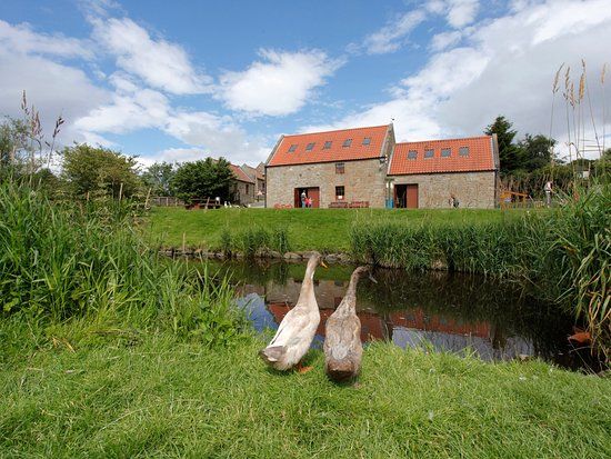 Almond Valley Heritage Trust