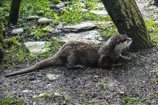 Ecomuseo Fluviarium de Liérganes