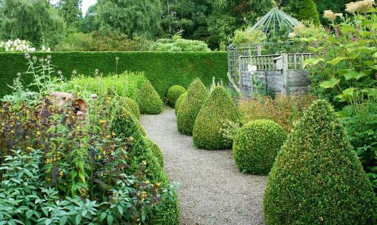 The Garden at The Bannut