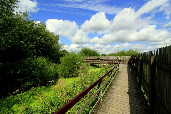 Rye Meads Nature Reserve