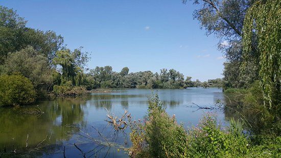 Paxton Pits Nature Reserve