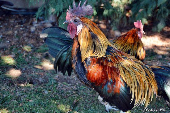 Parque Zoológico Riojanatura