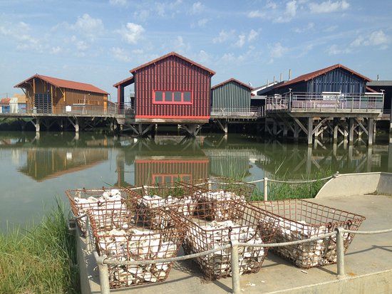 La Cite de L'Huître