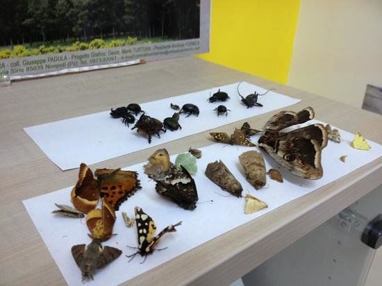 EcoMuseo CEA Val Sarmento