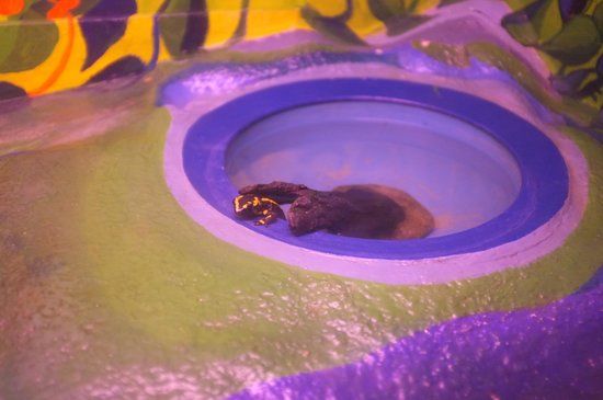 Naturzentrum Les Cerlatez