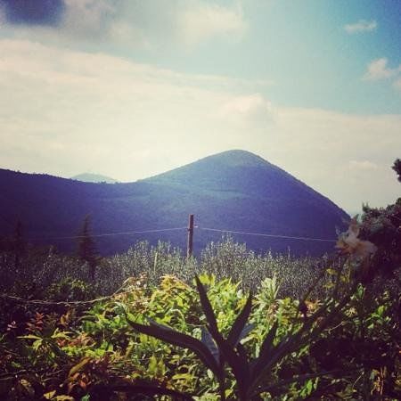 Azienda Agricola Ca'Lustra
