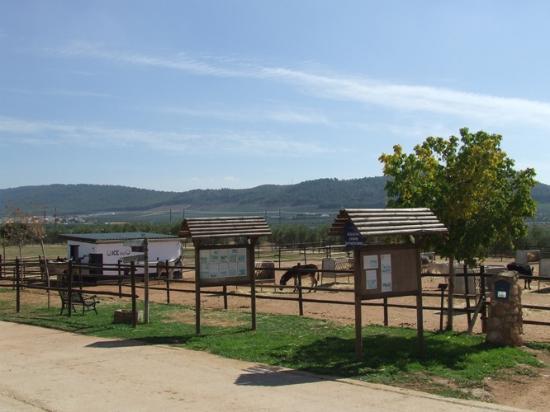 El Refugio del Burrito