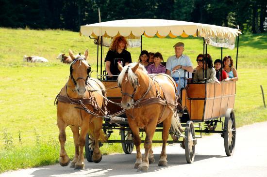 Les Calèches du Saut du Doubs