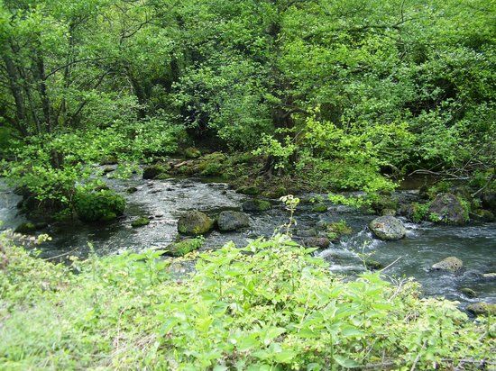 Parco Avventura Treja Adventure