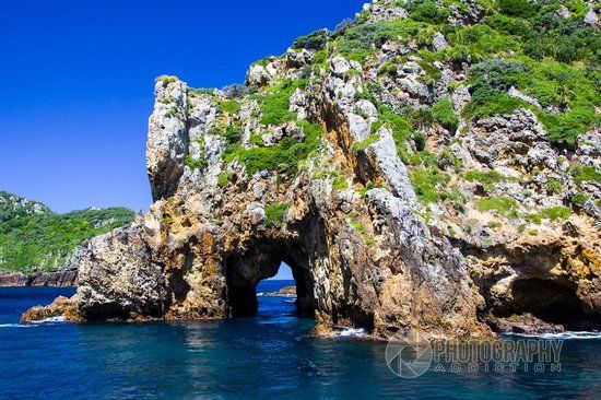 Poor Knights Island Marine Reserve