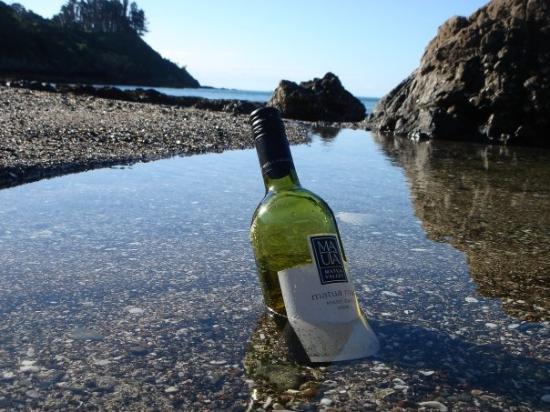 Onetangi Forest and Bird Reserve