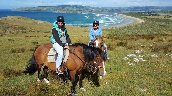 Catlins Horse Riding