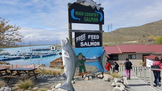Mt Cook Alpine Salmon