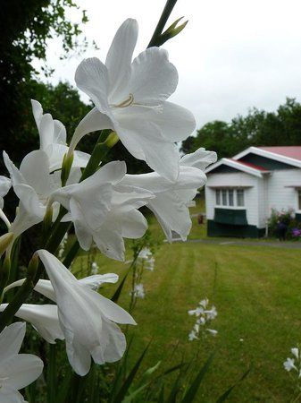 Silverdale Pioneer Village