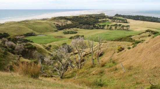 Farewell Spit Nature Experience